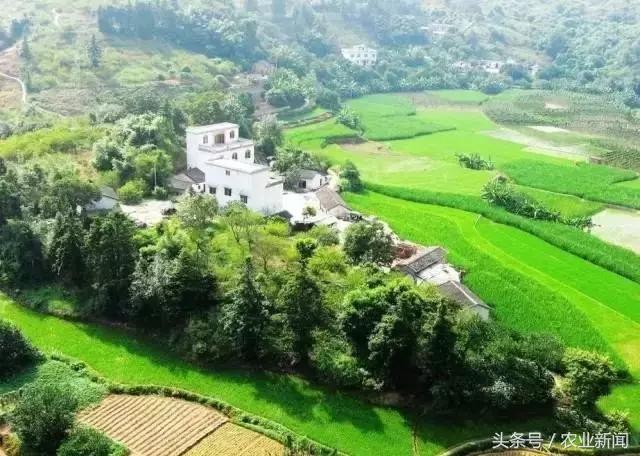 实施乡村振兴战略的建议