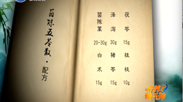每日一方茵陈五苓散的制作及功效