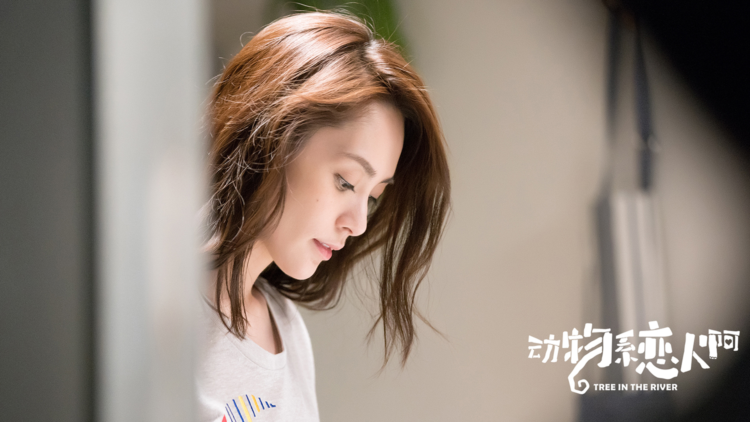 《动物系恋人啊》持续热播 阿娇蜕变化身知心