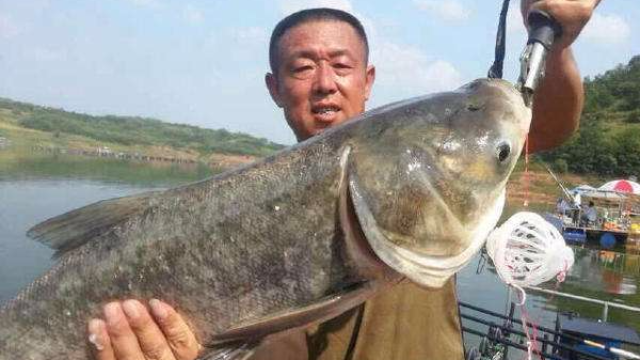 跟着李大毛钓鱼之野钓鲫鱼，大师就是大师