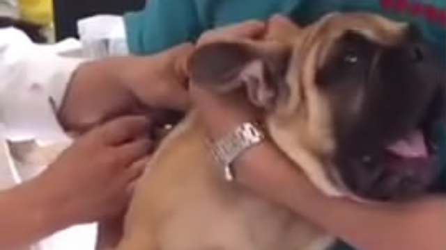 啊，啊，啊，啊，不要啊~~