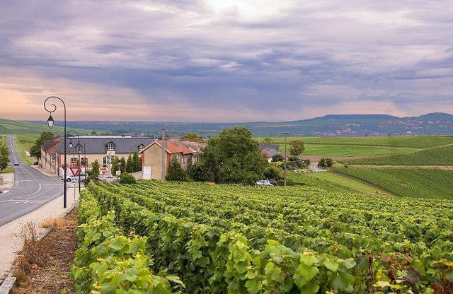 六大洲都有分布的地中海气候,成世界上分布最