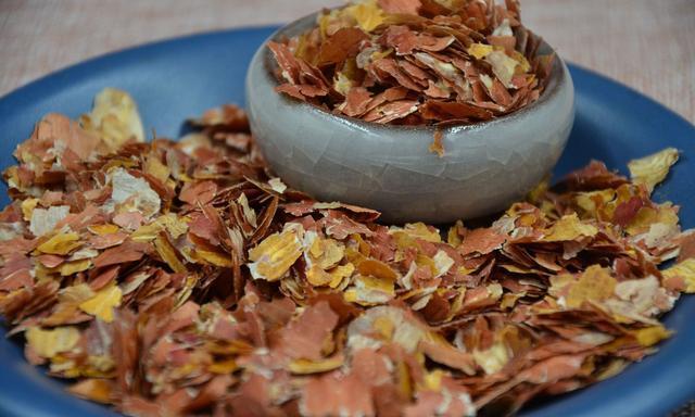 花生衣的功效与作用《中药大辞典》权威详解