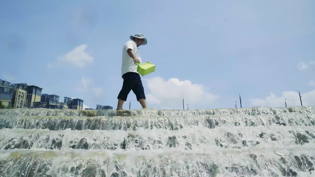 深圳民间河长每天暴走12公里巡河，只为守护青山绿水