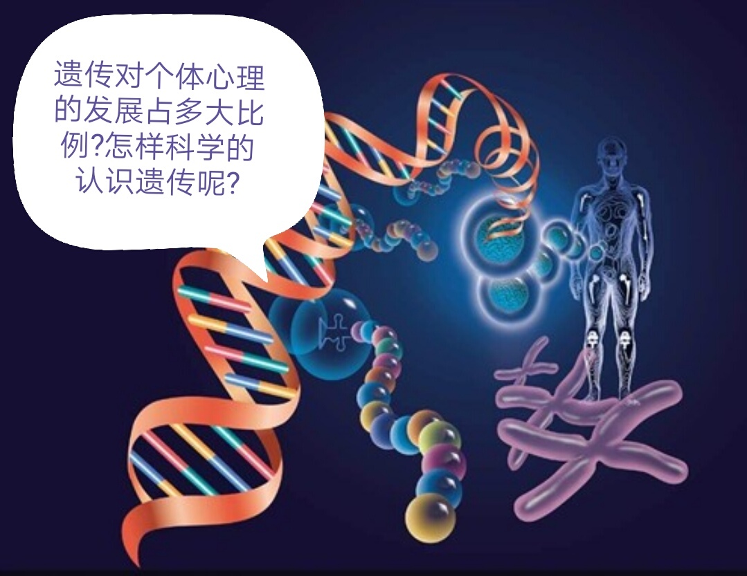 DNA遗传基因图片素材-编号08648304-图行天下