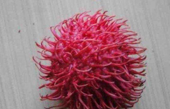 假如你要卖水果挣钱,上帝让你选择4种水果,你