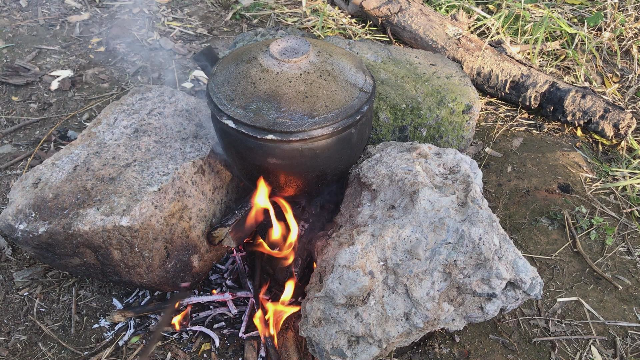 十全大补王八汤，你值得拥有