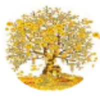 A股入摩,外国人开股票账户,是要割外国韭菜