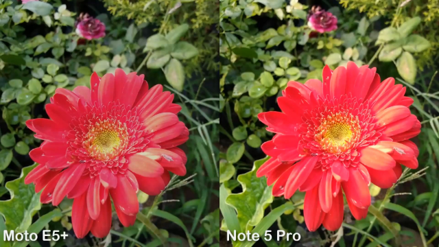 Moto E5 Plus与红米Note 5 Pro 相机对比