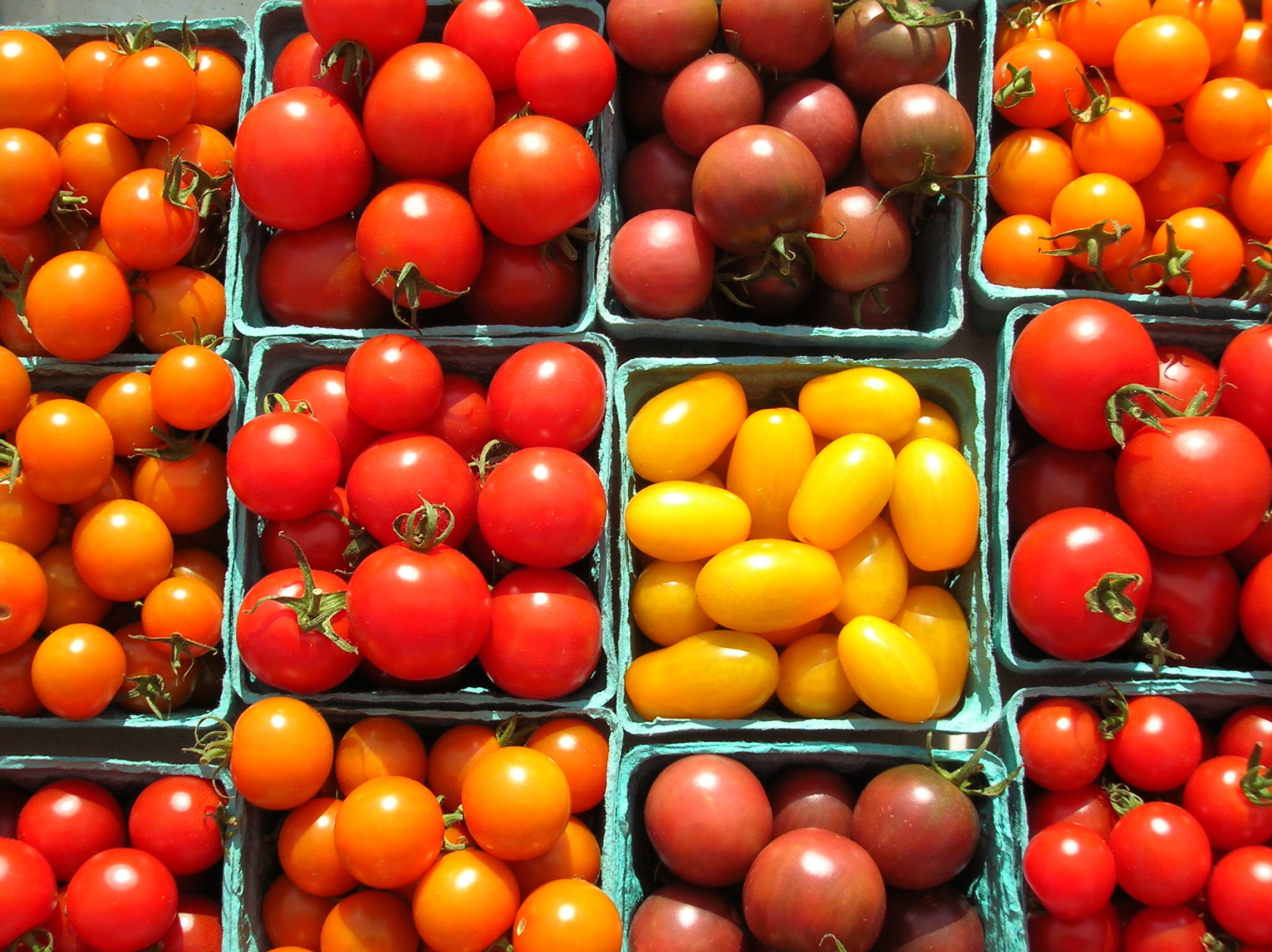 新鲜蔬菜在西班牙市场上 库存照片. 图片 包括有 原始, 饮食, 零售, 庭院, 小店, 季节性, 自然 - 34236366
