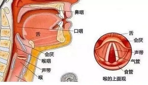 如何做好慢性咽炎的预防保健工作