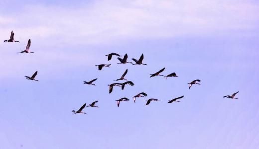 上海宝付物流招聘-招兵买马