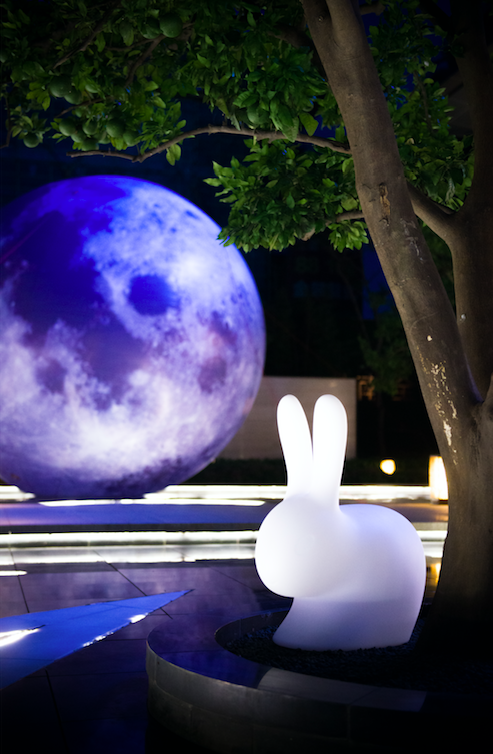 猜个迷!什么饼只能玩不能吃?