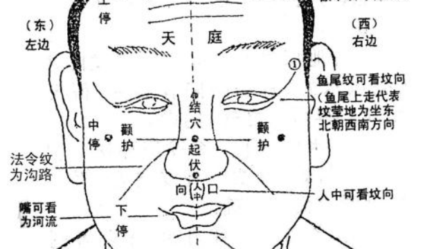 麻衣神断：十三部位图歌诀，中停最多，你知道吗？