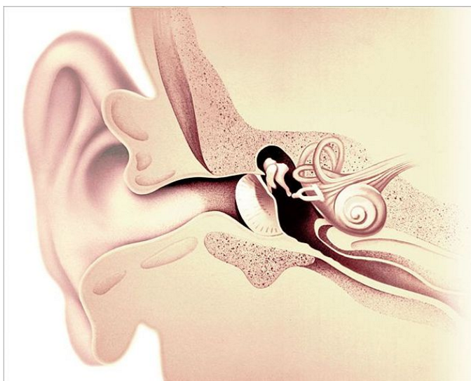 耳耵聍栓塞什么症状