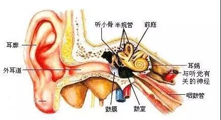 外耳 炎 症状
