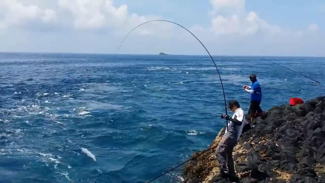 矶钓中烟仔鱼，鱼竿弓成这样了，质量不错哦！