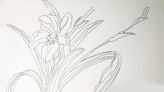 圆珠笔线描画，一阵乱涂乱画！