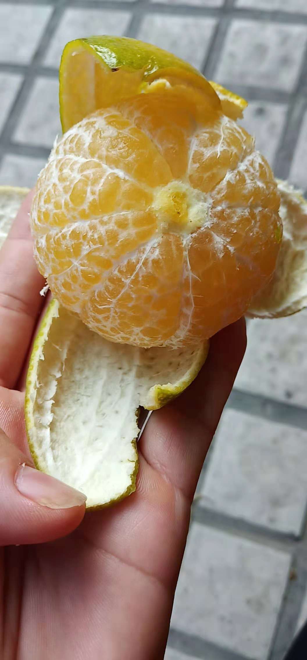 我的皇帝柑!