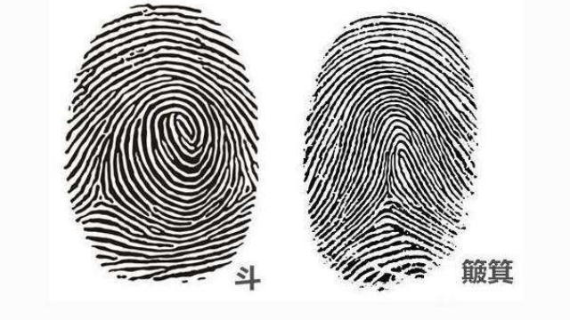 手指上的斗和簸箕看你的性格，各种组合分析！