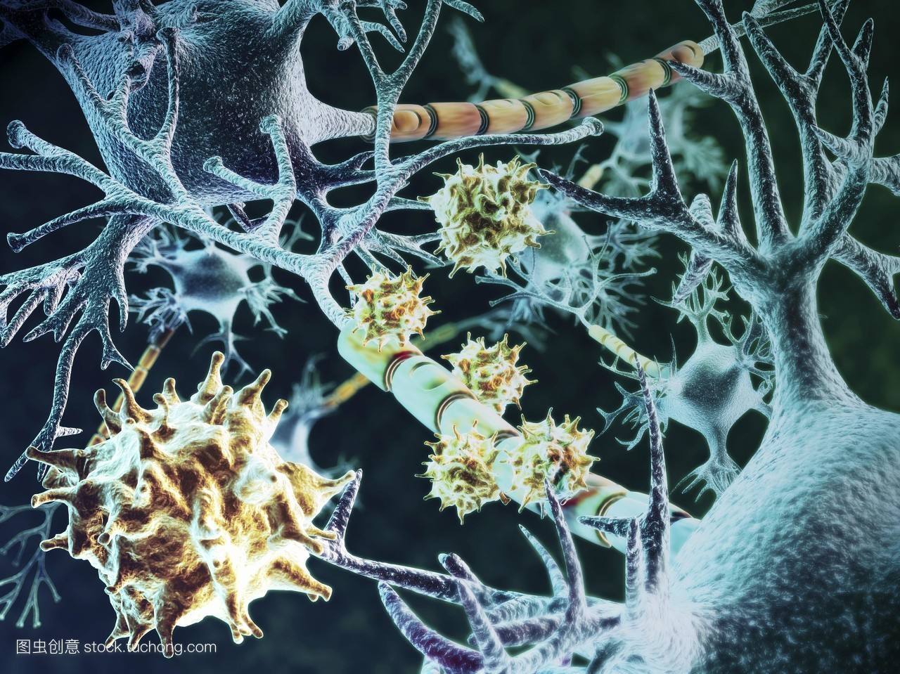 身体经常会莫名其妙的疼痛，不是不治之症而是植物神经紊乱_凤凰网健康_凤凰网