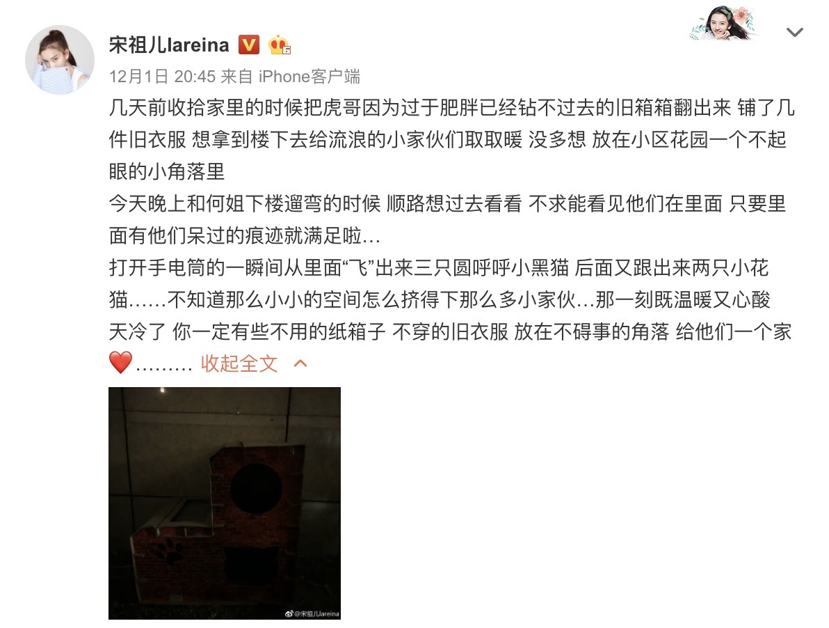 宋祖儿发文传递爱心 呼吁关爱流浪动物