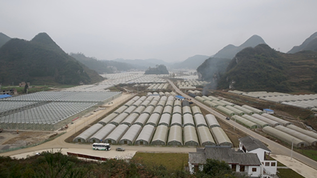 马场镇人口_织金马场镇中心村