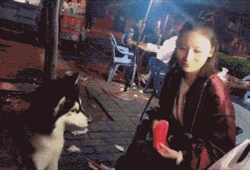 这个倒放简直是魔鬼,笑死人不偿命哈哈哈