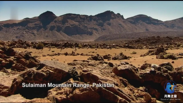 科学探索 演化足迹 陆上行鲸 第三集