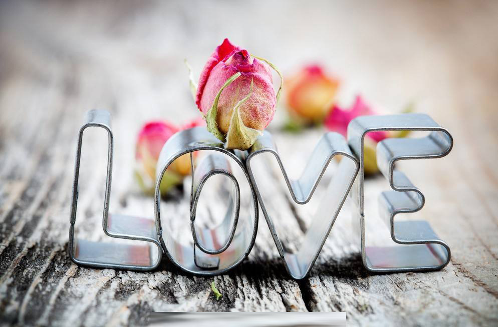 情感与回忆交织的电影《芳华》，轻松下载观看教程 (情感与回忆交融的句子)