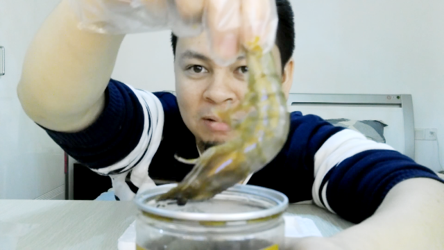 试吃“醉虾”，不用煮熟直接蘸佐料就吃，你吃过吗？
