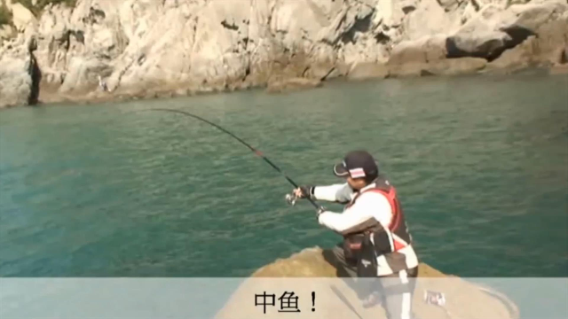 矶石海钓黑鲷钓组钓法详解