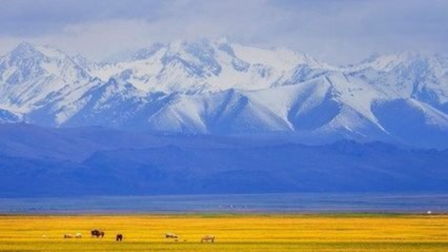 新疆哈萨克族民歌故乡之恋