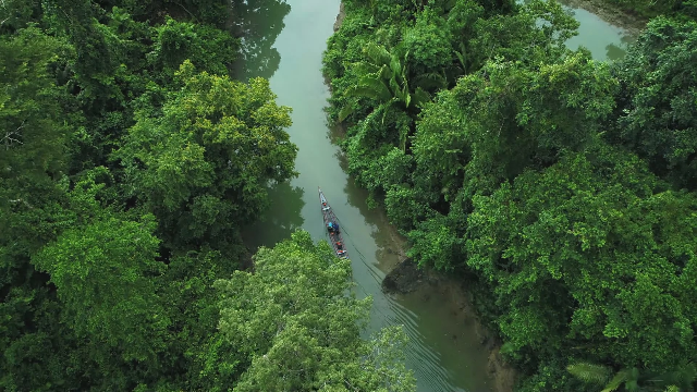 国家地理.亚马逊：生命起源[英字]