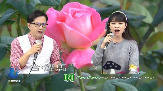 带你一起听好歌 翻唱歌曲 神雕侠侣