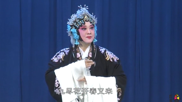 河南戏曲女神王惠《桃花庵》精彩演绎 丈夫不知所踪妻子苦等多年
