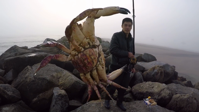 男子海边钓大螃蟹，美味的蟹肉和烤土豆一起吃，一口咬下去太爽了