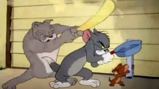 猫和老鼠美女猫太粗鲁，可怜的汤姆受尽委屈