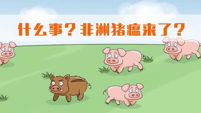 非洲猪瘟来了？什么是非洲猪瘟？