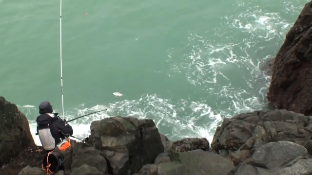 矶钓黑鲷，鱼口很密，上鱼停不下来！