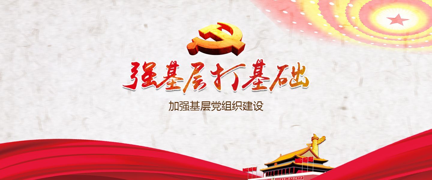 三项举措加强基层党组织建设