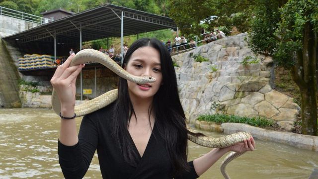 世界上仍被动物称霸的4个地方，有一个你绝对不能去！