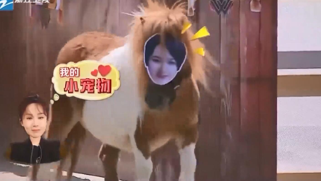 高能少年团：男生入场都是羊坐骑，杨紫蒋梦婕居然是可爱的小马