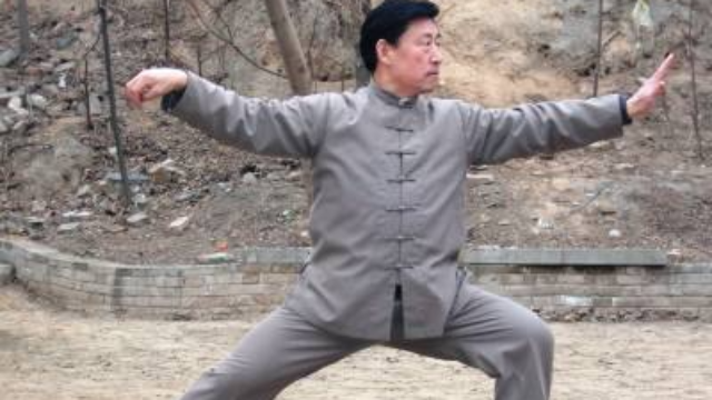 难得一见40年前陈小旺大师太极拳和太极剑法展示，初学者福音！