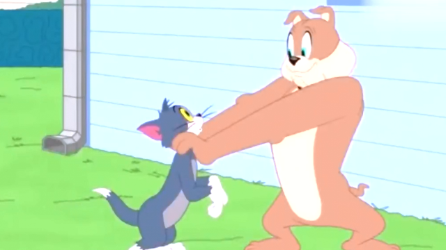 新猫和老鼠肥猫表示友好的抱抱杰瑞，大狗追逐汤姆直冒冷汗