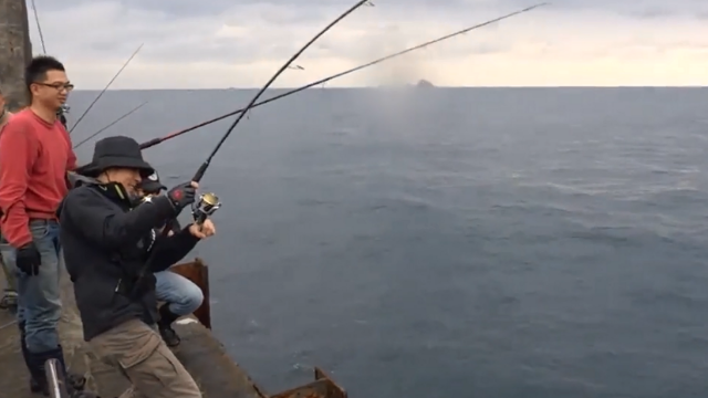 海钓中9斤的马鲛鱼，鱼竿的出线声太迷人了！