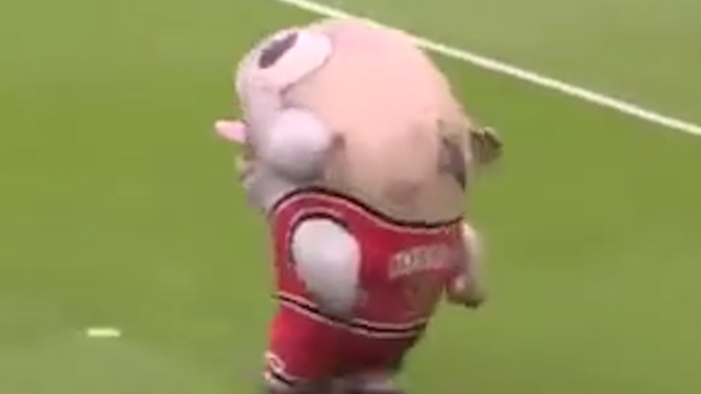 【外国那些事】绿荫场上的吉祥物吞人事件！