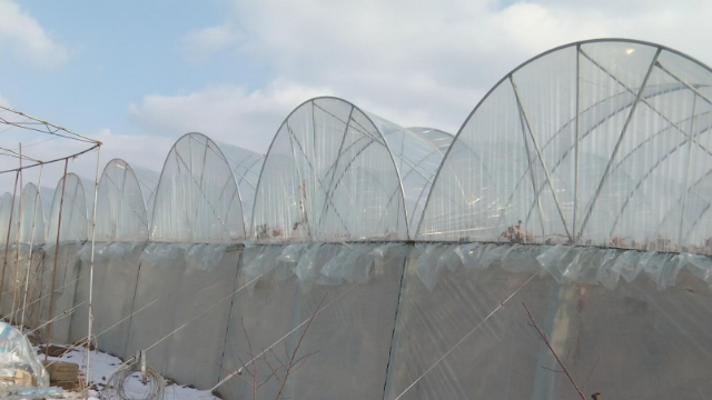 如何建葡萄避雨棚