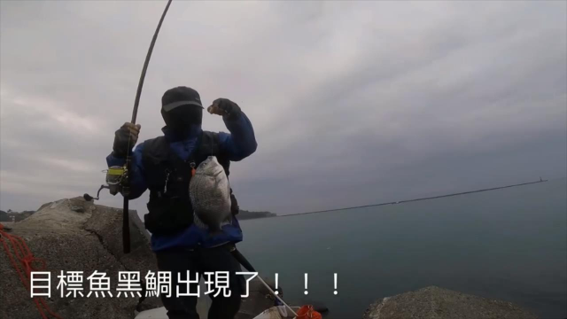 钓鱼人目标鱼黑鲷，一直中金鼓鱼是什么鬼，心好累！