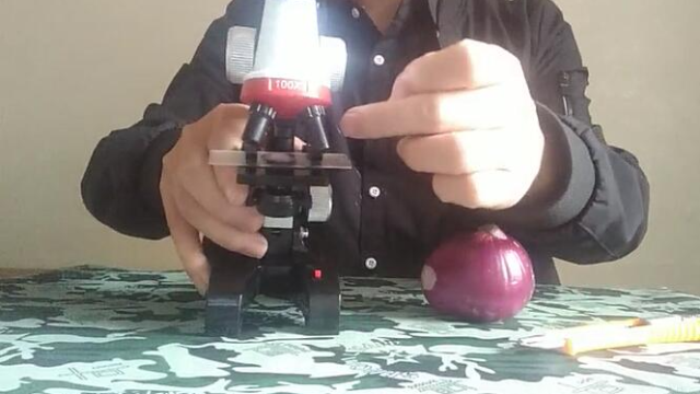 小伙实验1200倍显微镜下看洋葱的表皮细胞，微光世界匪夷所思